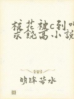校花被c到呻吟求饶高小说