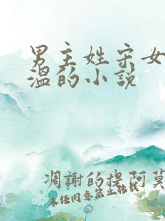 男主姓宋女主姓温的小说