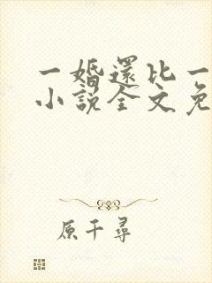一婚还比一婚高小说全文免费阅读