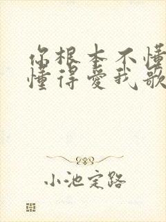 你根本不懂得不懂得爱我歌词