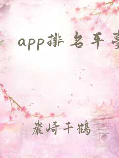 app排名平台