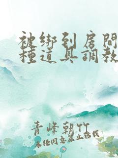 被绑到房间用各种道具调教文