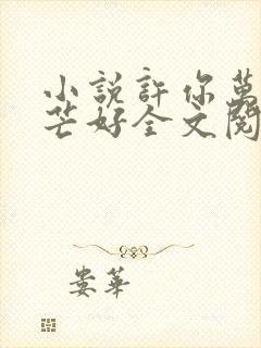 小说许你万丈光芒好全文阅读免费