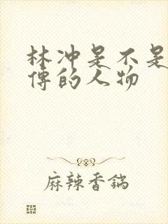林冲是不是水浒传的人物