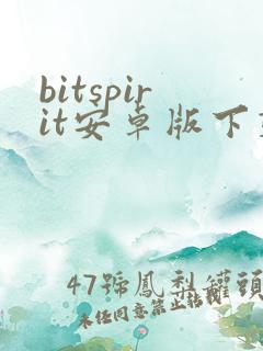 bitspirit安卓版下载