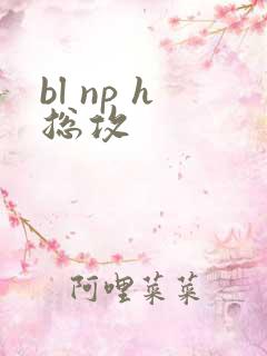 bl np h总攻