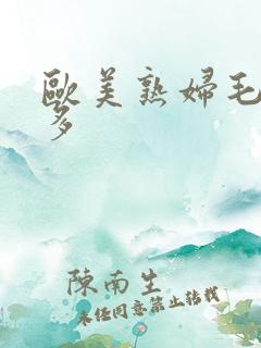 欧美熟妇毛多水多