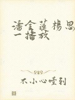 潘金莲杨思敏1一播放