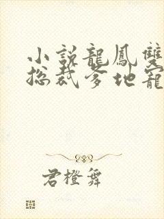 小说龙凤双宝:总裁爹地宠上天