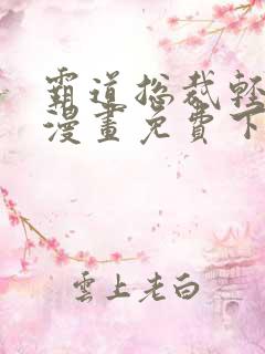 霸道总裁轻轻爱漫画免费下滑式