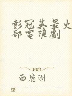 彭冠英最火的三部电视剧