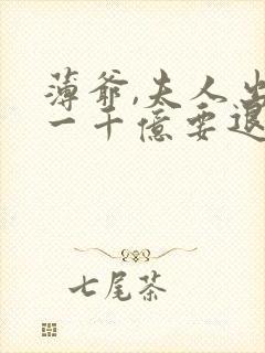 薄爷,夫人出价一千亿要退婚阅读全文