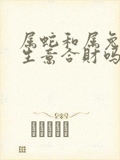 属蛇和属兔的做生意合财吗