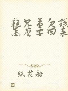 亲兄弟欠钱不还怎么要回来