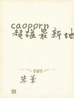caoporn超碰最新地址