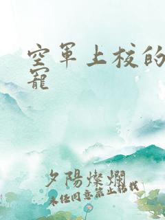 空军上校的邪魅宠