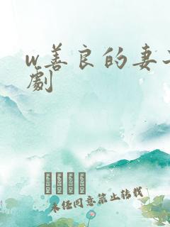 w善良的妻子韩剧