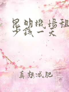 昆明机场租车多少钱一天