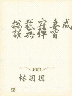 总裁宠妻成瘾小说无弹窗