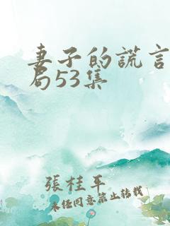 妻子的谎言大结局53集