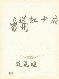 《送杜少府之任蜀州