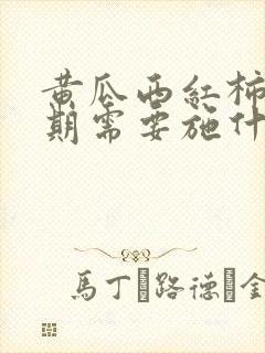 黄瓜西红柿开花期需要施什么肥 黄瓜西红柿开花期需要施什么肥