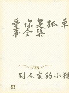 爱你是孤单的心事全集