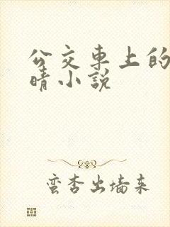 公交车上的诗请晴小说