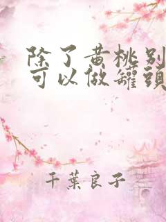 除了黄桃别的桃可以做罐头吗