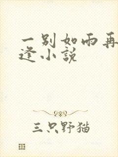一别如雨再无相逢小说