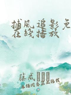 捕风追影免费版在线播放