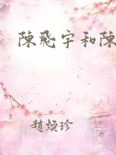 陈飞宇和陈凯歌 陈飞宇和陈凯歌