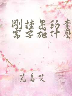 刚挂果的李子树需要施什么肥