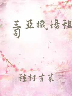 三亚机场租车公司