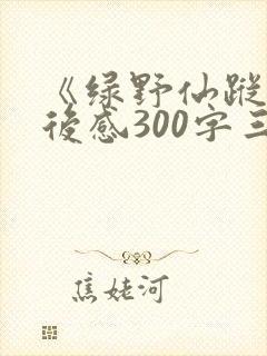 《绿野仙踪》读后感300字三年级