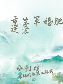 重生军婚肥妻的逆袭