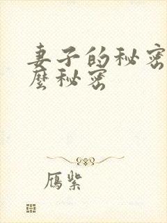妻子的秘密是什么秘密