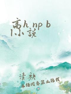 高h np bl小说
