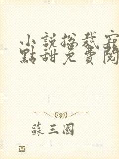 小说总裁宠妻有点甜免费阅读