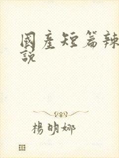 国产短篇辣文小说