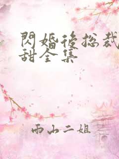 闪婚后总裁娇妻甜全集