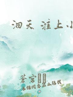 洄天 淮上小说