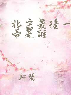 北宋最后一位皇帝是谁