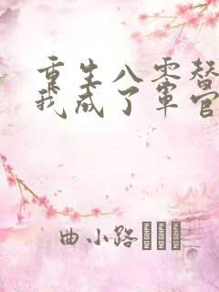 重生八零替嫁后我成了军官的心尖宠小说