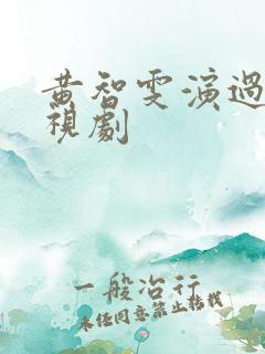 黄智雯演过的电视剧