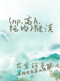 (np,高h,纯肉)糙汉