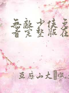 无敌少侠免费观看完整版在线全集