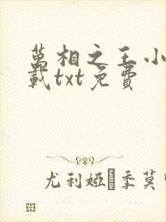万相之王小说下载txt免费