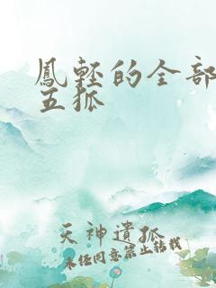 凤轻的全部小说五狐