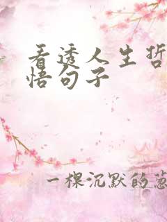 看透人生哲理感悟句子